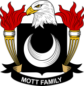 Mott