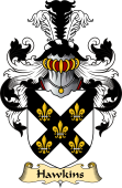 Irish Family Coat of Arms (v.23) for Hawkins or Haughan