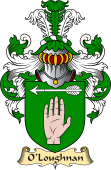 Irish Family Coat of Arms (v.23) for O