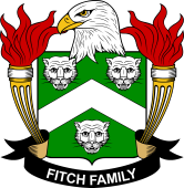 Fitch