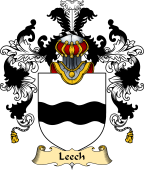 Scottish Family Coat of Arms (v.25) Leech