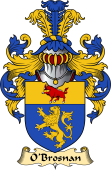 Irish Family Coat of Arms (v.23) for O