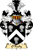 Irish Family Coat of Arms (v.23) for O