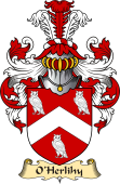 Irish Family Coat of Arms (v.23) for O