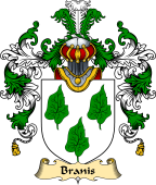 Scottish Family Coat of Arms (v.25) Branis