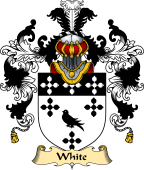 Scottish Family Coat of Arms (v.25) White