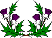 Thistle Wreath