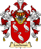 Scottish Family Coat of Arms (v.25) Leechman