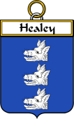 Irish Badge for Healey or O