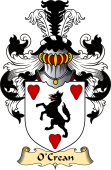 Irish Family Coat of Arms (v.23) for O