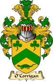 Irish Family Coat of Arms (v.23) for O