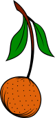 Orange Stalked-Leaved