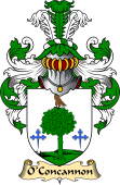 Irish Family Coat of Arms (v.23) for O