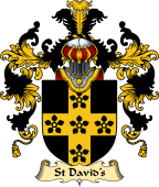 Welsh Family Coat of Arms (v.25) St David