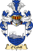 Irish Family Coat of Arms (v.23) for O