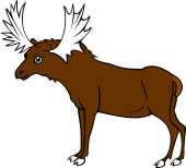 Elk