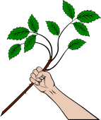 Hand Fesswise, Holding a Rose Branch