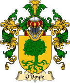 Irish Family Coat of Arms (v.25a) O'Boyle