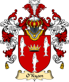 Irish Family Coat of Arms (v.25a) O'Kyan