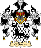 Irish Family Coat of Arms (v.25a) O'Duane, Devine, Duana I