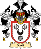Irish Family Coat of Arms (v.25a) Scott