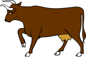 Cow Passant