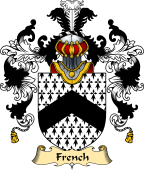 Irish Family Coat of Arms (v.25a) French