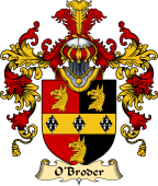 Irish Family Coat of Arms (v.25a) O'Broder