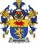 Irish Family Coat of Arms (v.25b) Brosnan or O'Brosnan