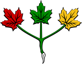 Maple Leaf Branch of Three