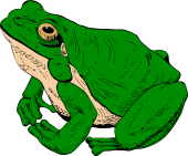 Frog Sejant