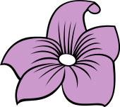 Violet Flower