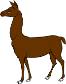 Lama