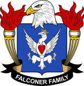 Falconer