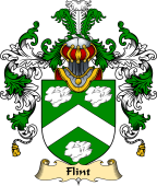 Scottish Family Coat of Arms (v.25) Flint