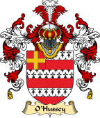 Irish Family Coat of Arms (v.25a) O'Hussey or Hosey