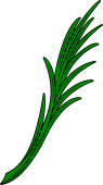 Palm Branch 1