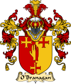 Irish Family Coat of Arms (v.25a) O'Branagan or Branigan