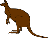 Kangaroo-2