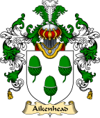 Scottish Family Coat of Arms (v.25) Aikenhead