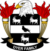 Dyer