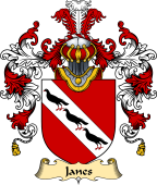 Irish Family Coat of Arms (v.25a) Janes or Janns