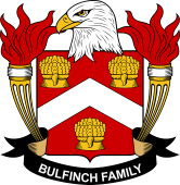 Bulfinch