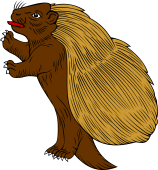 Porcupine Salient