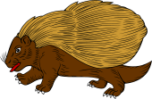 Porcupine Passant