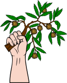 Hand Holding Chestnut Tree