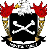 Newton